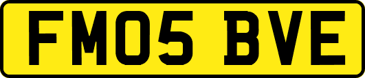 FM05BVE