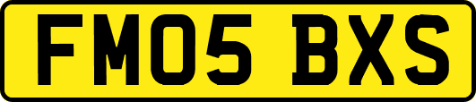 FM05BXS