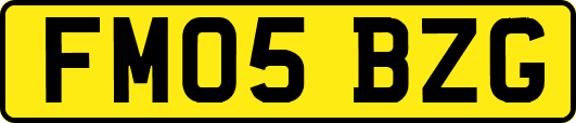 FM05BZG