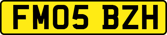 FM05BZH