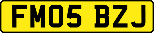 FM05BZJ