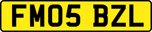 FM05BZL