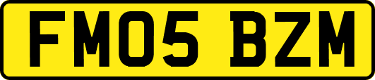 FM05BZM