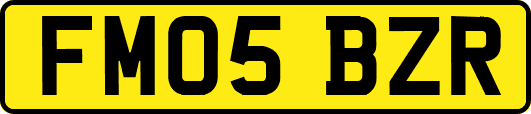 FM05BZR
