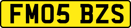 FM05BZS