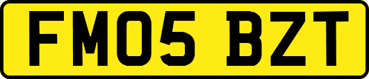 FM05BZT