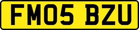 FM05BZU