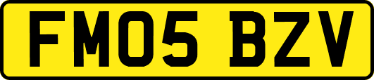 FM05BZV