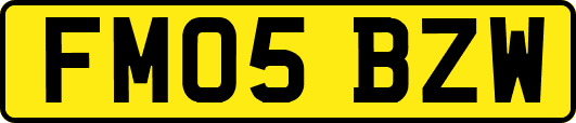 FM05BZW