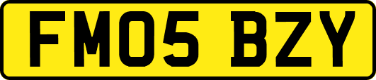 FM05BZY