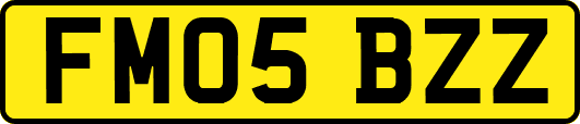 FM05BZZ