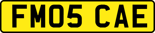 FM05CAE
