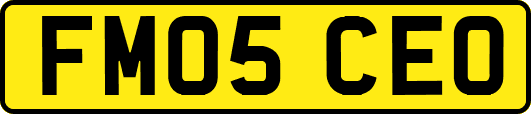 FM05CEO