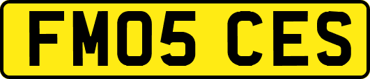 FM05CES