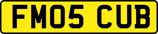 FM05CUB