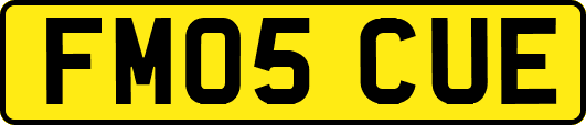 FM05CUE