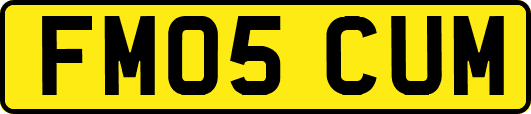 FM05CUM