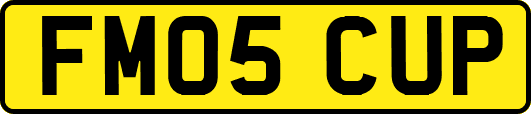 FM05CUP