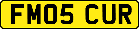 FM05CUR