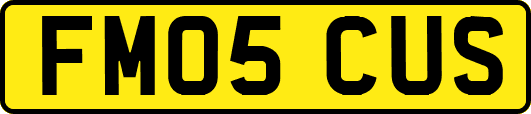 FM05CUS