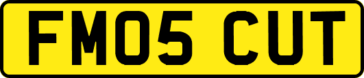 FM05CUT