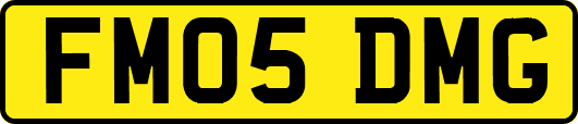 FM05DMG