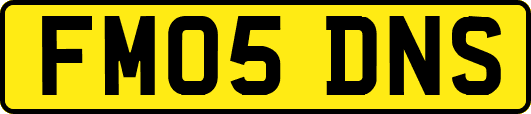 FM05DNS