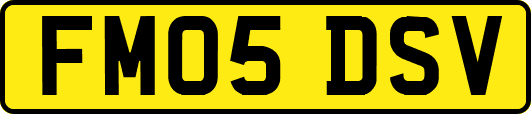 FM05DSV