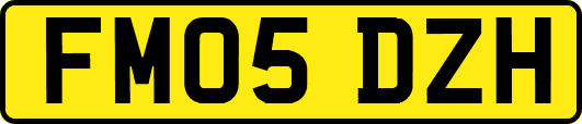 FM05DZH