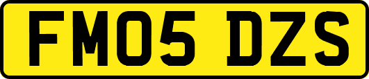 FM05DZS