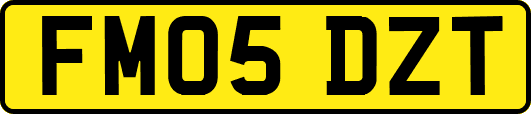 FM05DZT
