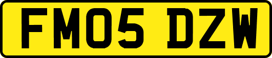 FM05DZW