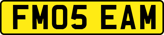FM05EAM