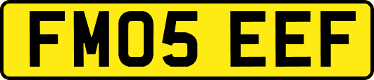 FM05EEF