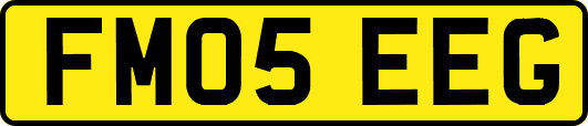 FM05EEG