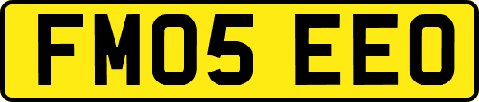 FM05EEO