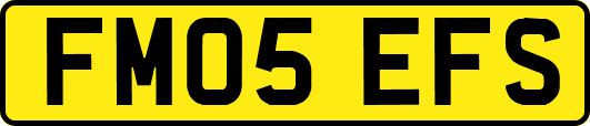 FM05EFS