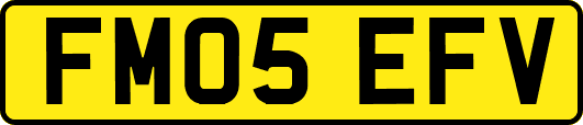 FM05EFV