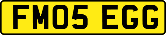 FM05EGG