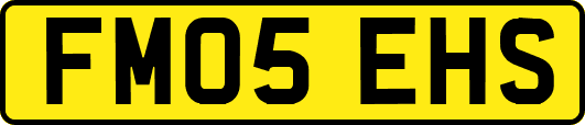 FM05EHS