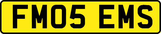 FM05EMS
