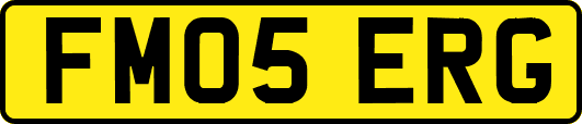 FM05ERG