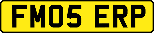 FM05ERP