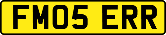 FM05ERR