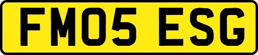 FM05ESG