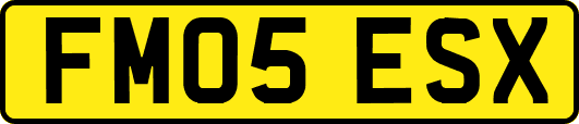 FM05ESX