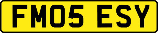 FM05ESY