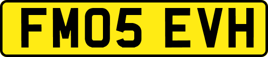 FM05EVH