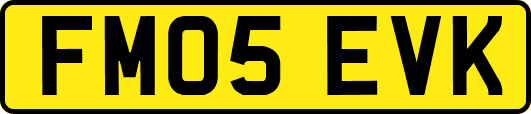 FM05EVK