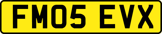 FM05EVX